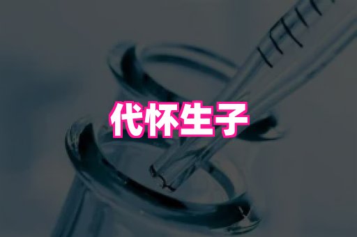 821孕网 3